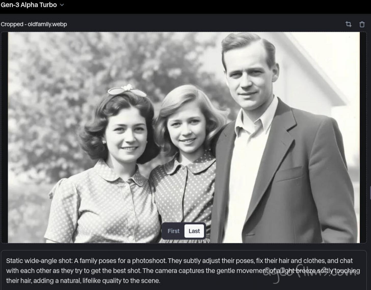 Runway's cropping interface + my prompt