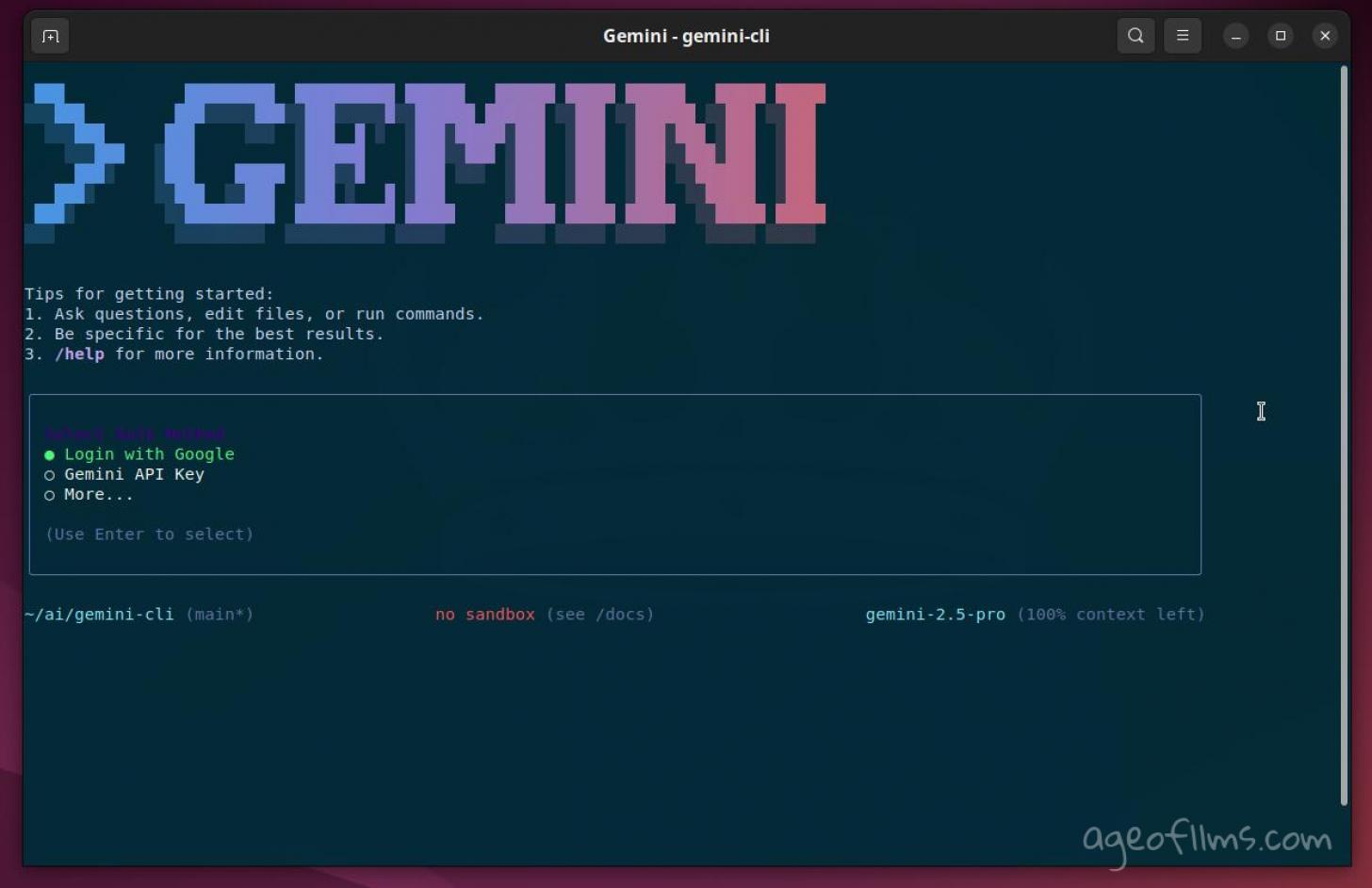 My Gemini CLI installation